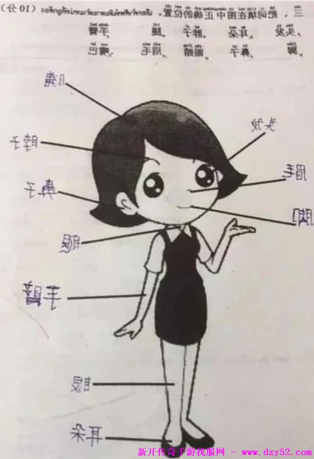 单职业传奇版本库 单职业传奇版本库
